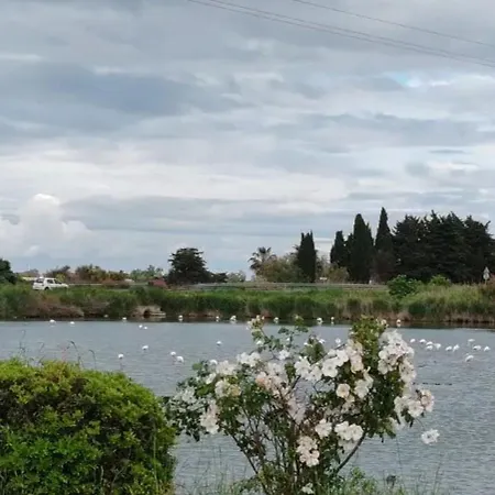 Convivial 26 M² Piscine *